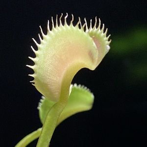 Tapas98 - Home Goods with a purpose. Come find something that excites you!